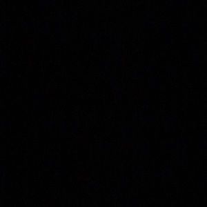 Meet your Posher, Paulette